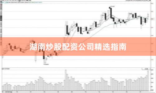湖南炒股配资公司精选指南