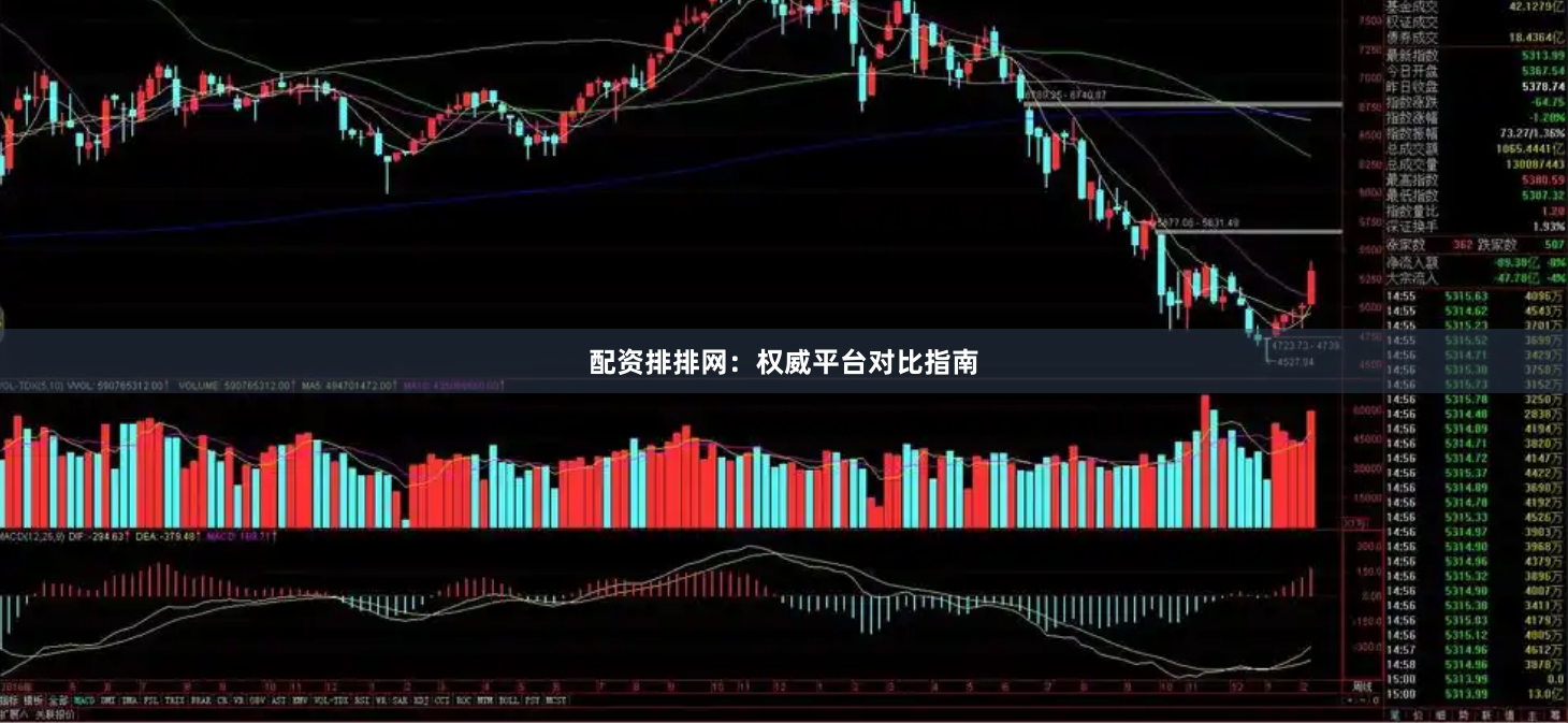 配资排排网：权威平台对比指南
